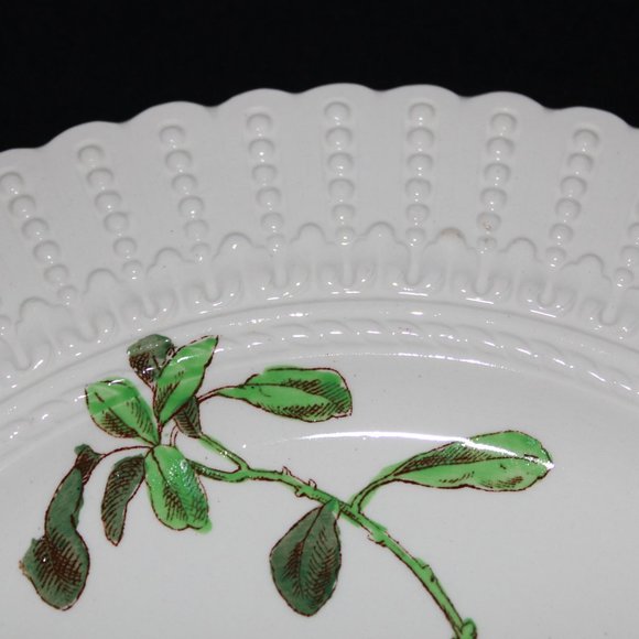 Flower Series Plate By Royal Cauldon - Picture 3 of 5